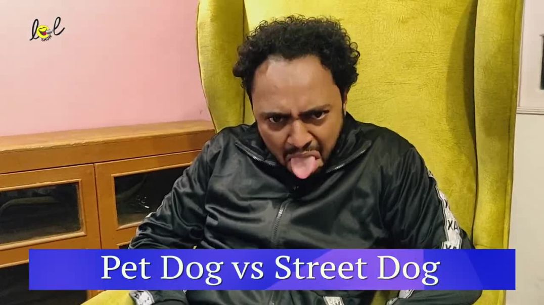 Pet Dog vs Street Dog Most