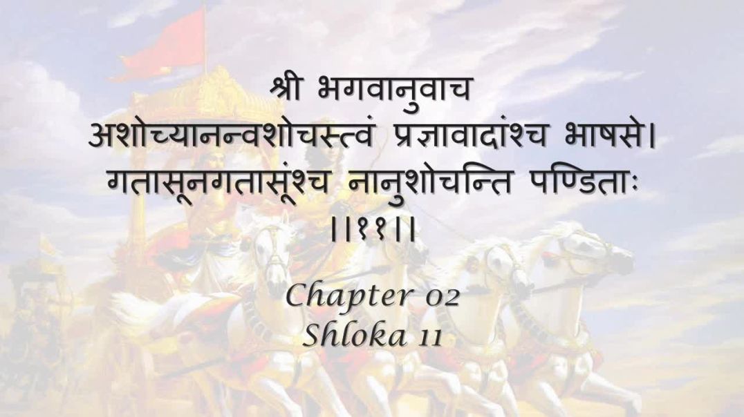 Bhagavad Gita_ Chapter 02 - Shloka 11