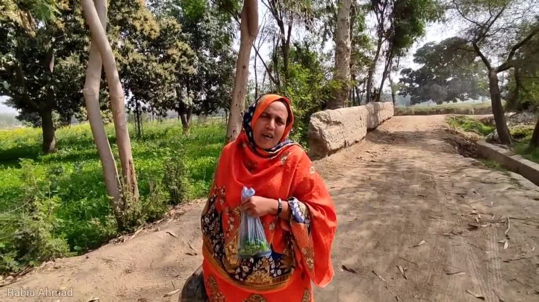 ⁣A Beautiful Morning in Village punjab Pakistan 🇵🇰