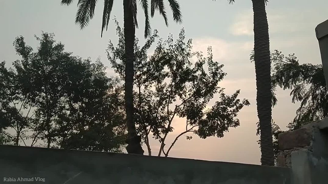 Mahmano Ke Sath Pahla Nashta 👌_ Rabia Ahmad Vlogs