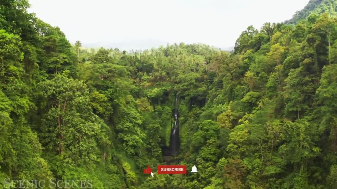 Jungles In 4K - Amazing Jungle Scenes Around The World _ Rainforest _ Scenic Relaxation Film
