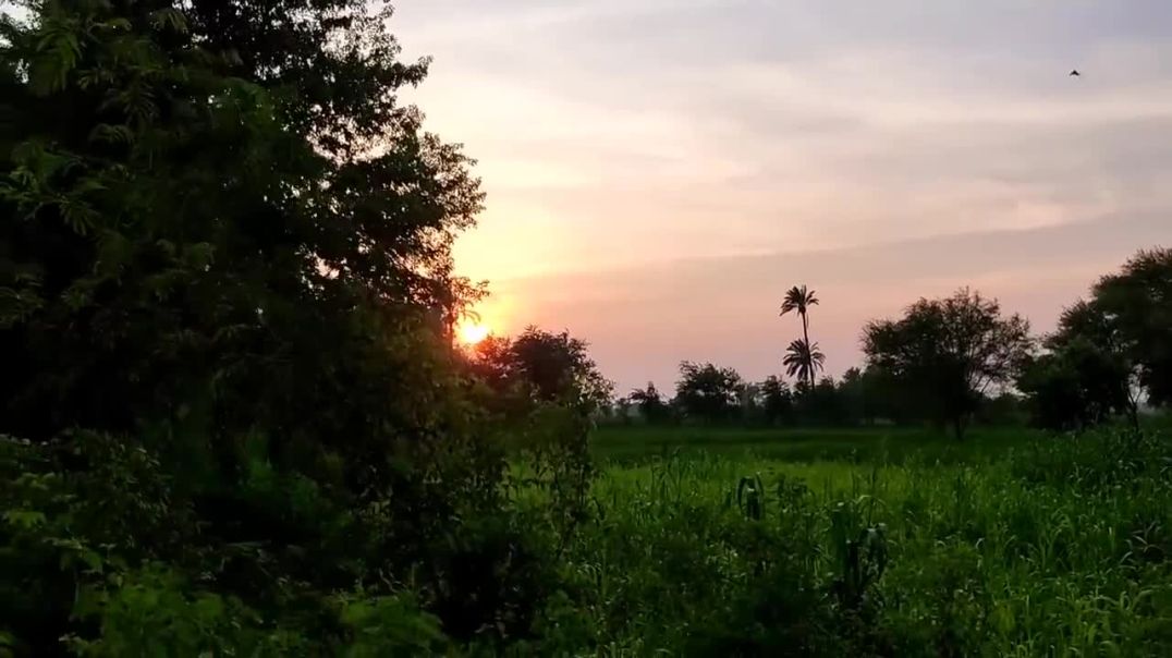 Bhut Asani Ho Gai Thanks Baji Shukar Hai Samajh Aa Gai 👌