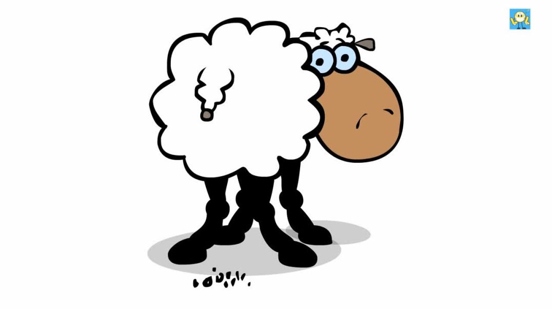 Funny Wicked Sheep