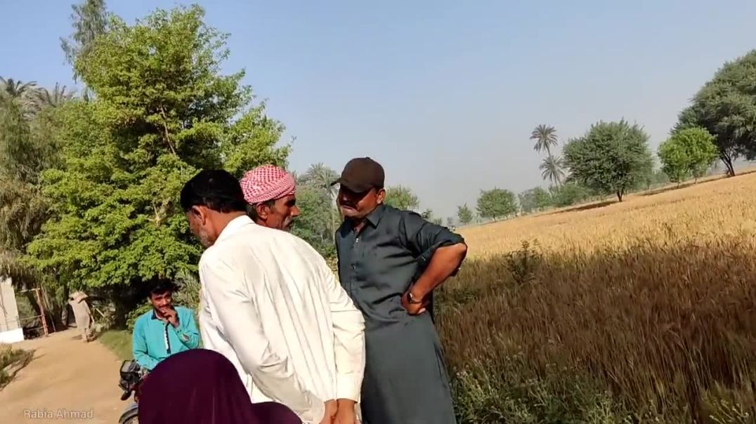 ⁣Apna Badla Le Kr Raho Gi Choro Gi Ni 😡_ Rabia Ahmad Vlogs