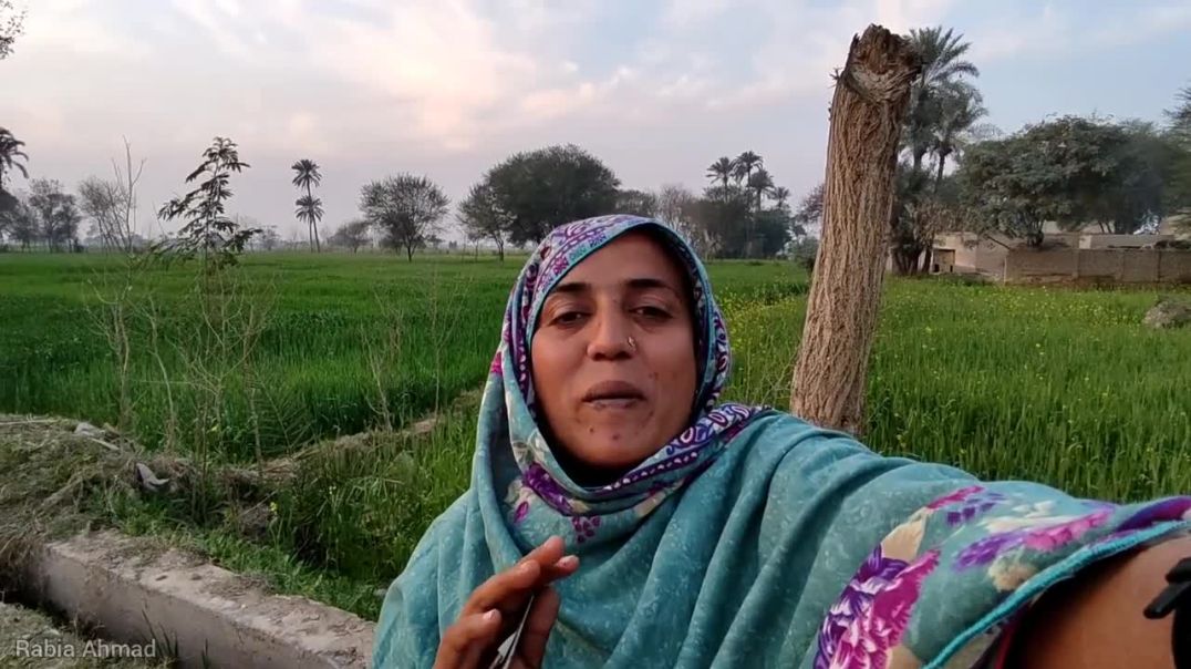 Bhut Bari Ghalti Kr Di Uff 😡 _ Rabia Ahmad Vlogs