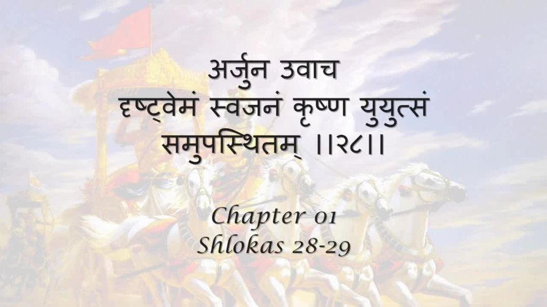 Bhagavad Gita_ Chapter 01 - Shloka 28-29