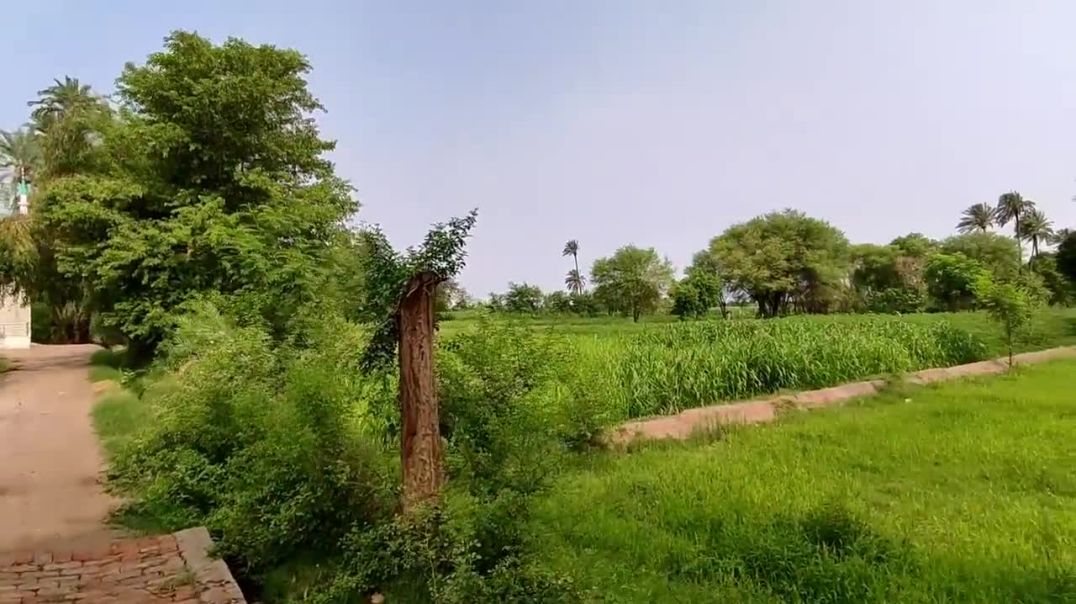 ⁣Shukar Hai Bare Nuksan Se Bach Gai