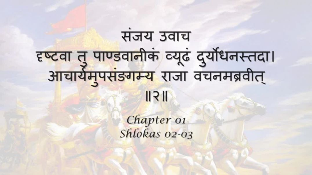 Bhagavad Gita Chapter 01 Shlokas 02-03