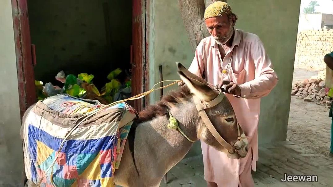 Alhamdulilah Dua Qabool Ho Gai Sb Khush🌹🤗_Helping poor people_Jeewan