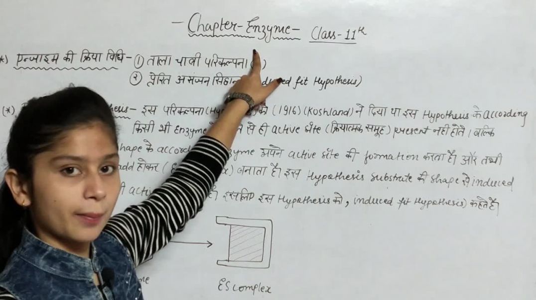 ⁣Induced Fit Hypothesis _ प्रेरित आसंजन सिद्धान्त _ Enzymes Chapter Biology _ Biology Class 11th