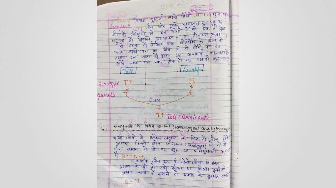 ⁣वंशागति का मेण्डलीय आधार _ HAND NOTES ✍🏻✍🏻 _ Mendelian basis of inheritance