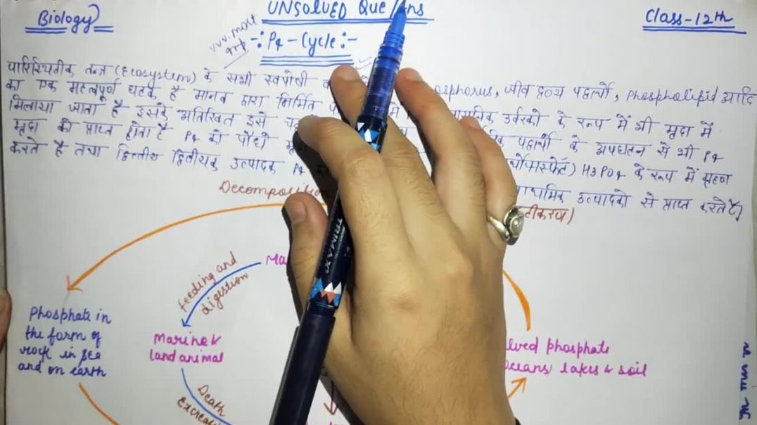⁣फास्फोरस चक्र का वर्णन करो _ Phosphorus Cycle _ BIOLOGY