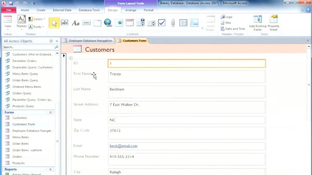 ⁣Access 2010_ Customizing Form Settings