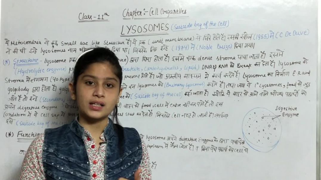 ⁣What Is Lysosomes _ Suicide Bag Of The Cell _ Structure  Functions Of Lysosomes _ लाइसोसोम क्या है_