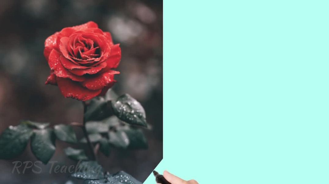 Flowers Name in English And Hindi हिंदी और इंग्लिश में फूलों के नाम #study #flowers #rps_teaching