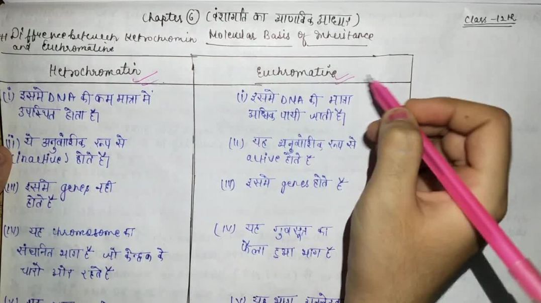 ⁣Difference between Heterochromatin  Euchromatin _ हेटरोक्रोमैटिन और यूक्रोमैटिन के बीच अंतर
