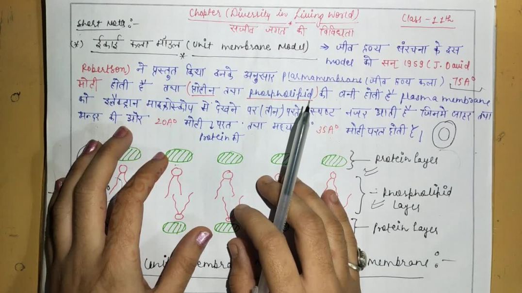 इकाई कला मॉडल - Unit Membrane Model - सजीव जगत में विविधता _ BIOLOGY