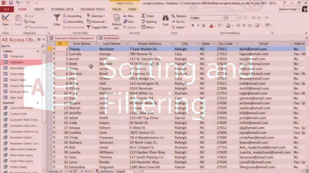 Access 2013_ Sorting and Filtering