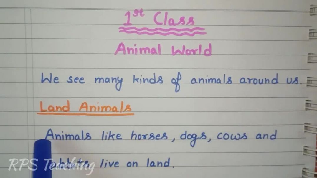 ⁣Class 1 EVS Worksheet Animal World 🐯  EVS Worksheet for First Class  1st Class #online #study