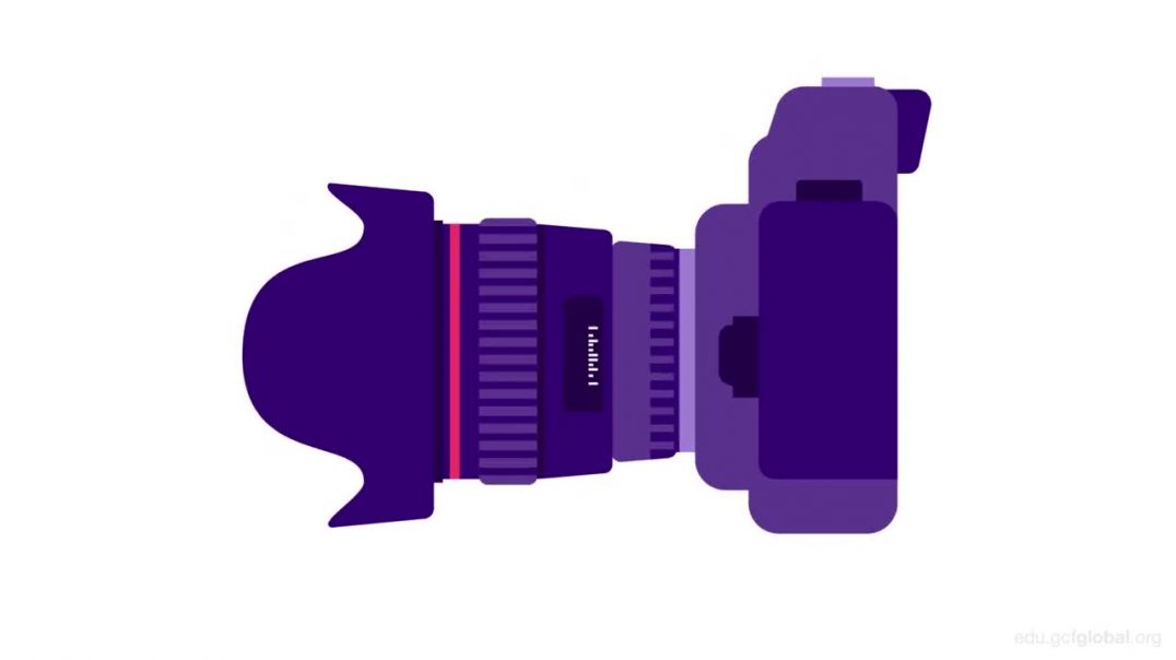 ⁣DSLR Cameras
