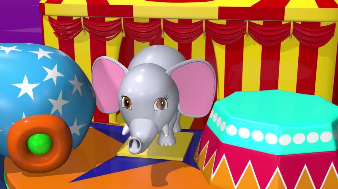 ⁣Learn Animals Toys Names With Tutitu _ Animal Toys For Children _ Safari