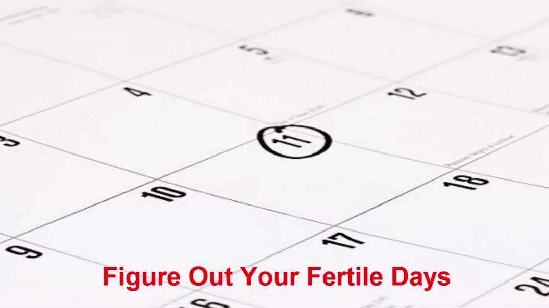 ⁣How To Get Pregnant With Husband Fast
