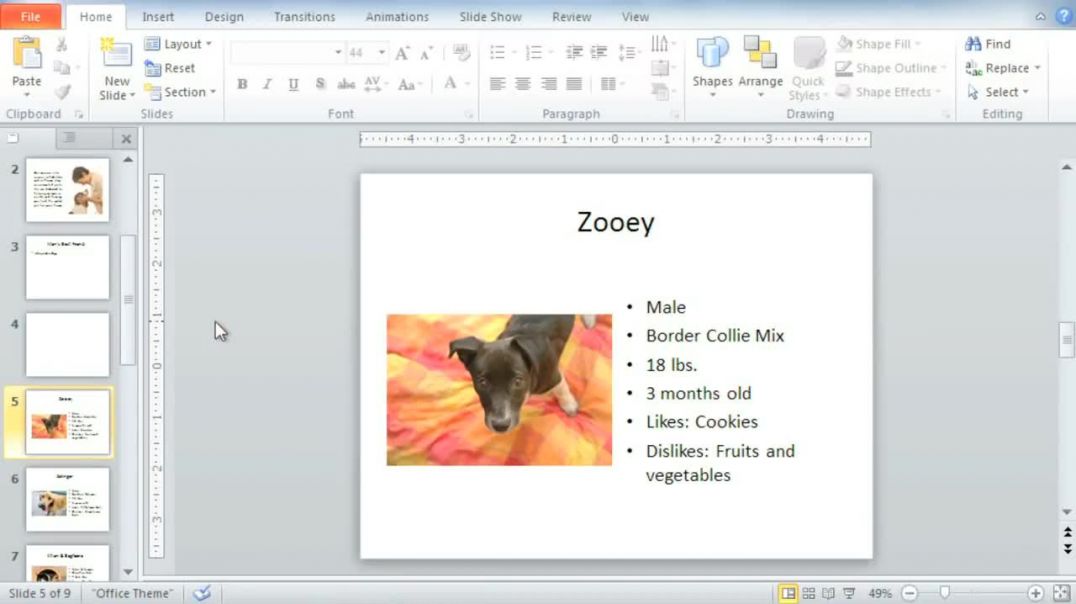 ⁣PowerPoint 2010_ Slide Basics