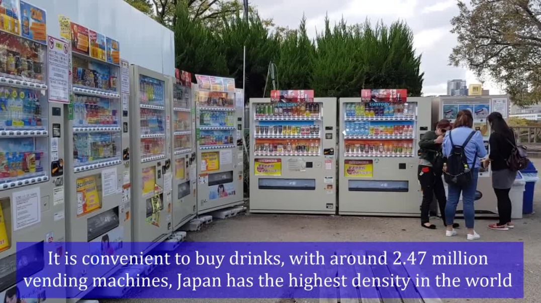 ⁣Amazing Facts About Japan