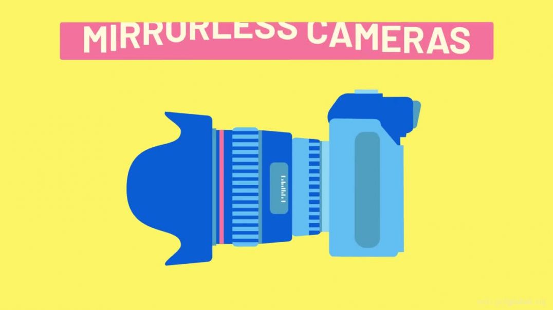 ⁣Mirrorless Cameras