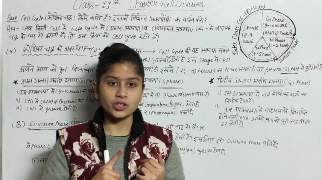What is Cell Cycle _ What is Division Phase _ What is Interphase _ Cell Division Class 11th Biology