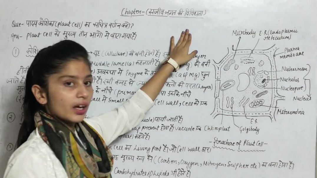 ⁣What Is Plant Cell _ पादप कोशिका क्या है_ _ Biology Class 11th _ Diversity In Living World