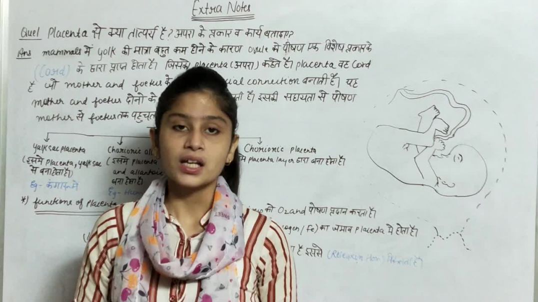 What is Placenta _ अपरा व उसके कार्यों का वर्णन कीजिए _ Biology Class 12th
