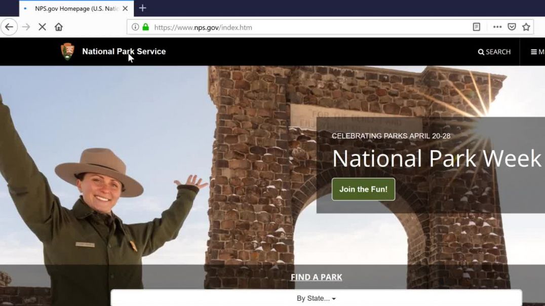 ⁣Browsing with Firefox