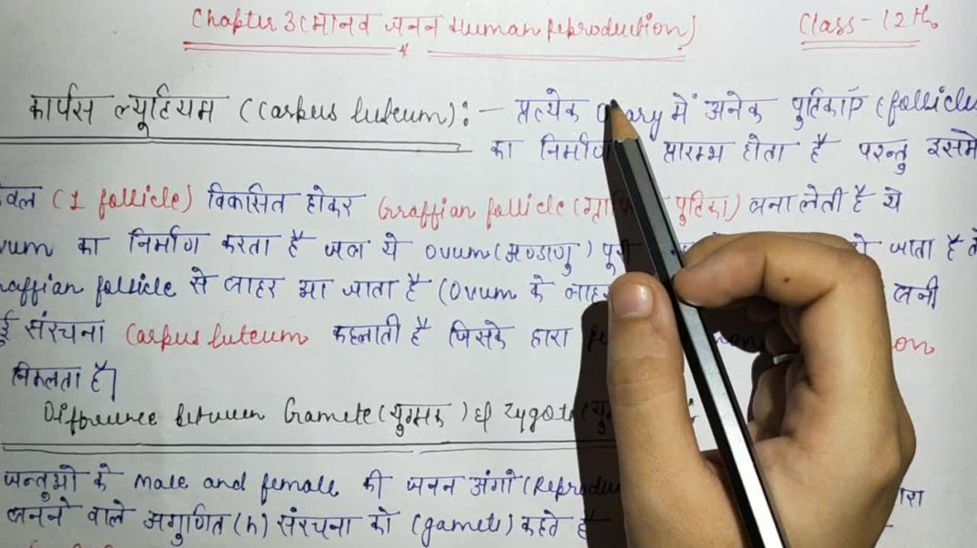 ⁣कार्पसल्यूटियम क्या होता है _  युगमक व युग्मनज में अन्तर _ Corpus Luteum _ Gamete and Zygote