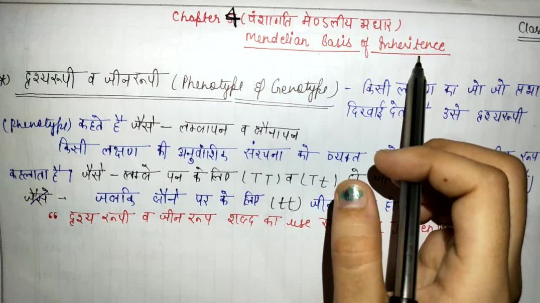 ⁣दृशय रूपी व जीन रूपी _ Phenotype  Genotype _ वंशागति मेण्डलीय आधार