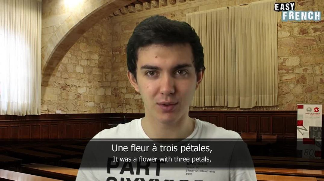 Easy French Correction Dictation 1 - Recontre Avec La Fleur