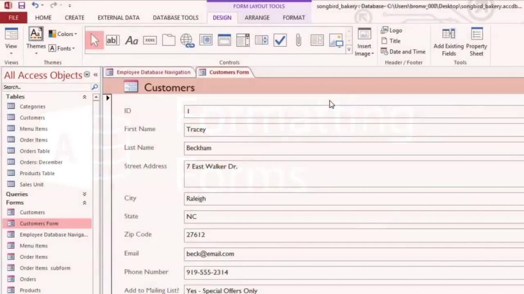Access 2013_ Formatting Forms