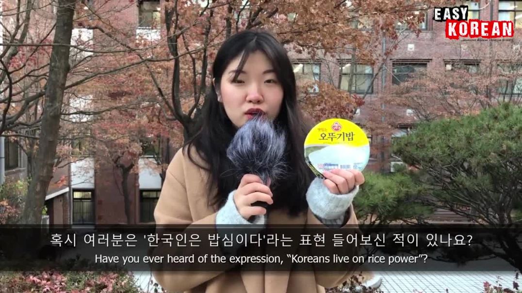 How Many Expressions About Rice Are There In Korean