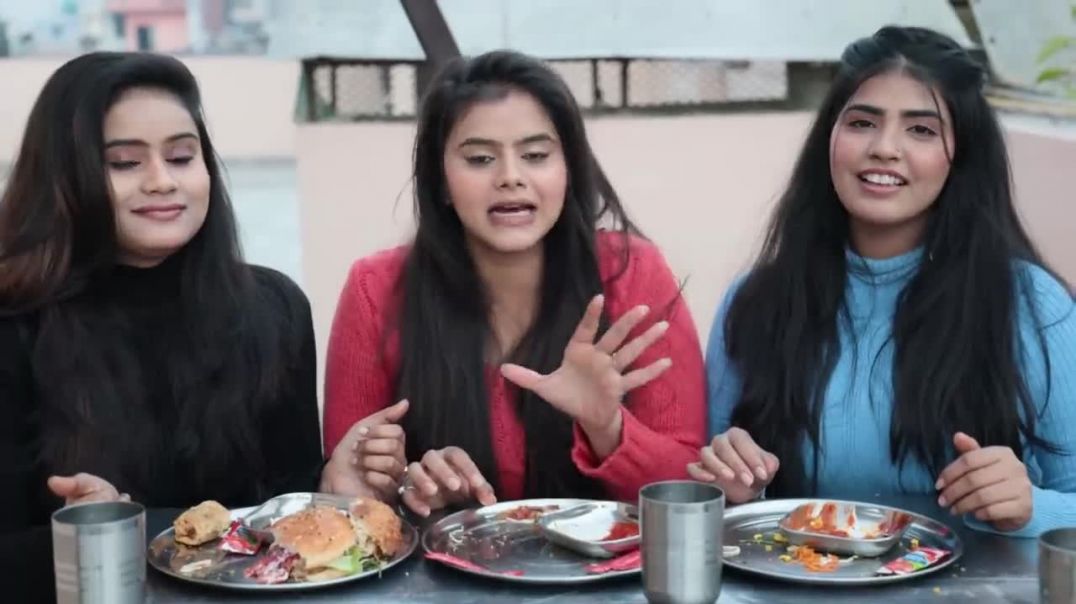 Paneer Spring Rolls, Noodles Spring Rolls, Paneer Samosa, Pasta Samosa and Burger Eating Challenge