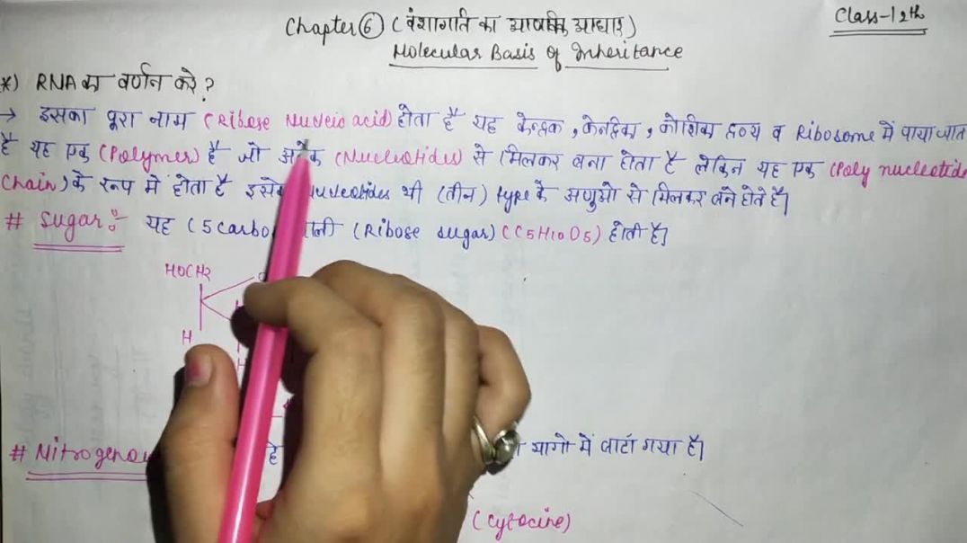 ⁣Describe RNA _ What is Ribose Sugar _ Nitrogenous Base _ Nucleotide _ Nucleoside _ 12th Class BIO
