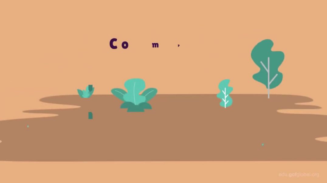 ⁣Composition