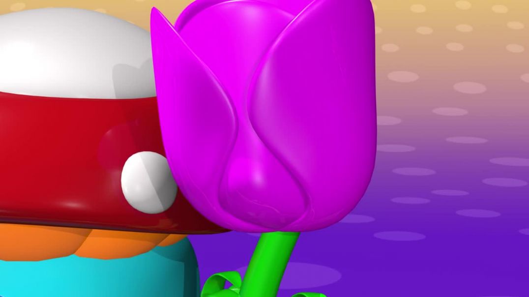 Learn Animals Toys Names With Tutitu _ Rabbit And More!