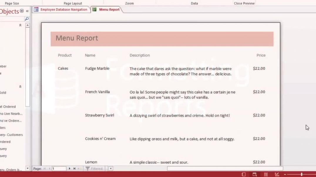 Access 2013_ Formatting Reports