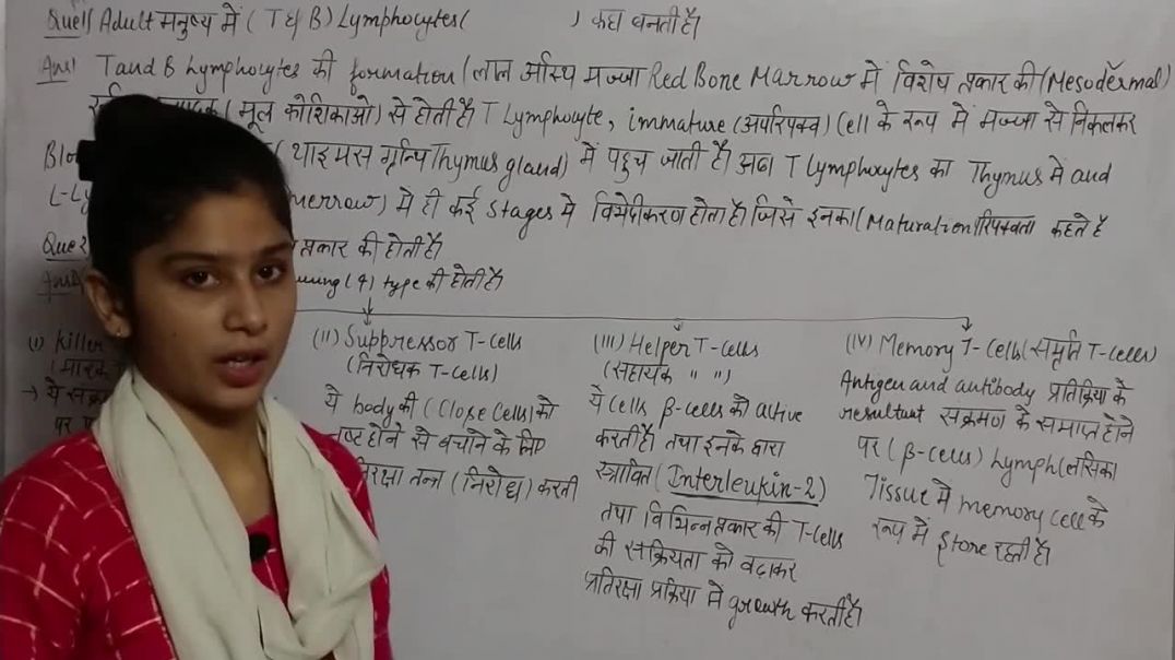 T and B lymphocytes _ Immunology _ Biology Class 12th _ प्रतिरक्षा तन्त्र