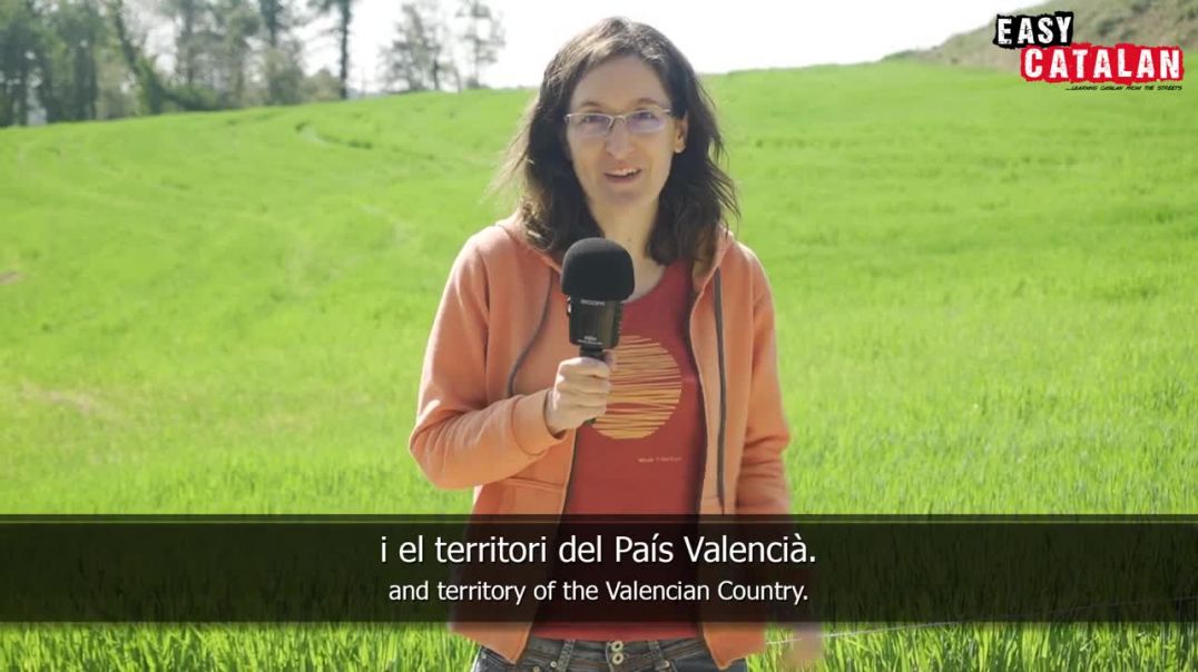 How Does Valencian Sound_ (preview) _ Easy Catalan 22