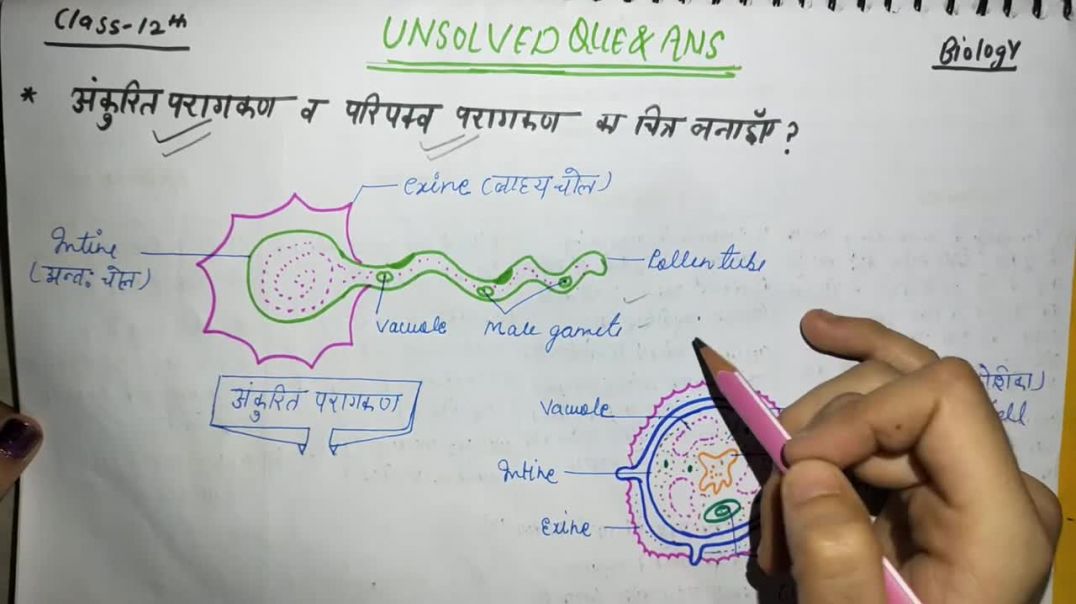 अंकुरित परागकण व परिपक्व परागकण का चित्र _ Biology _ Unsolved Paper