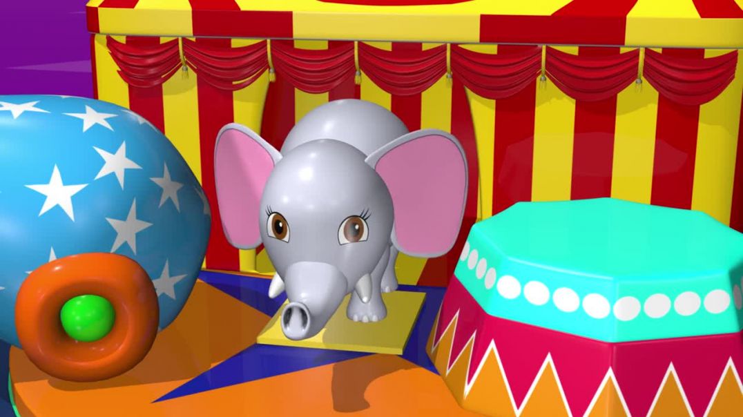 Learn Animals Toys Names With Tutitu _ Zebra And More!