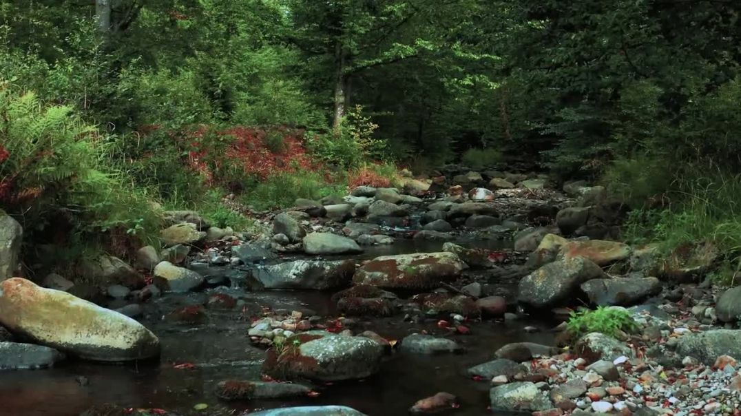 ⁣8K VIDEO ULTRA HD HDR - Nature is the art of God 60FPS