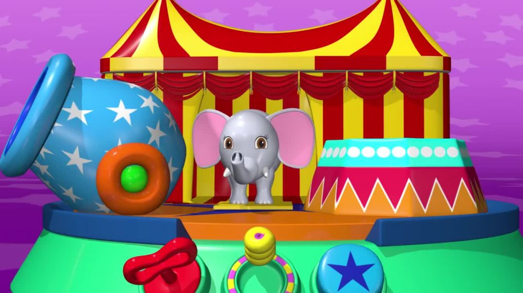 Boar And Friends _ Animal Toys For Children _ Learn Animals Toys Names With Tutitu