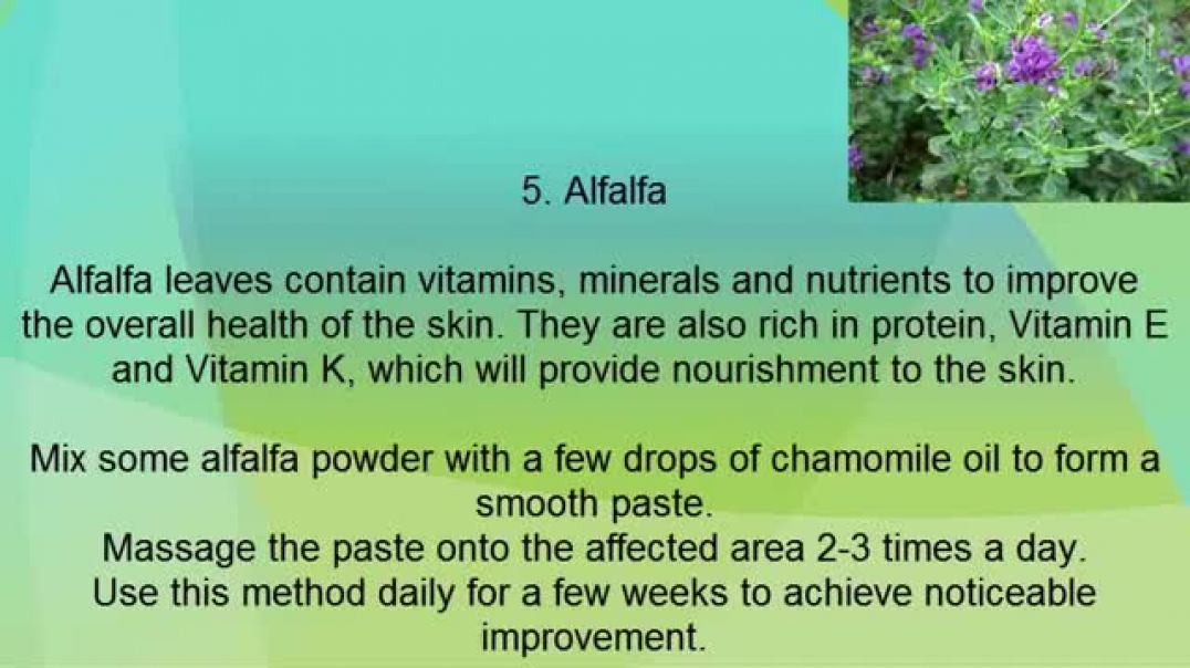 How To Get Rid Of Stretch Marks Fast